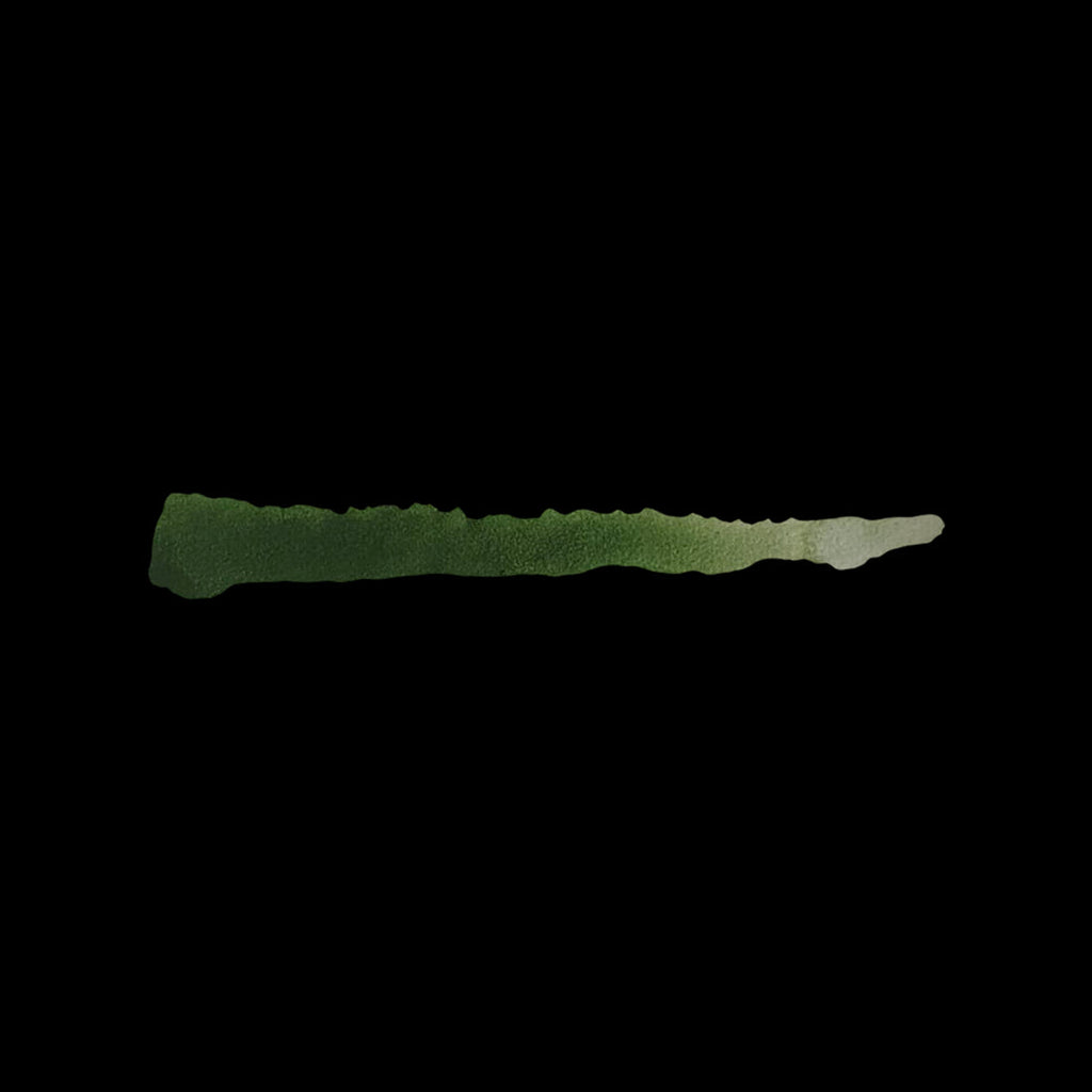 Scale 75 Scalecolor Inktense Olive 17ml (2)