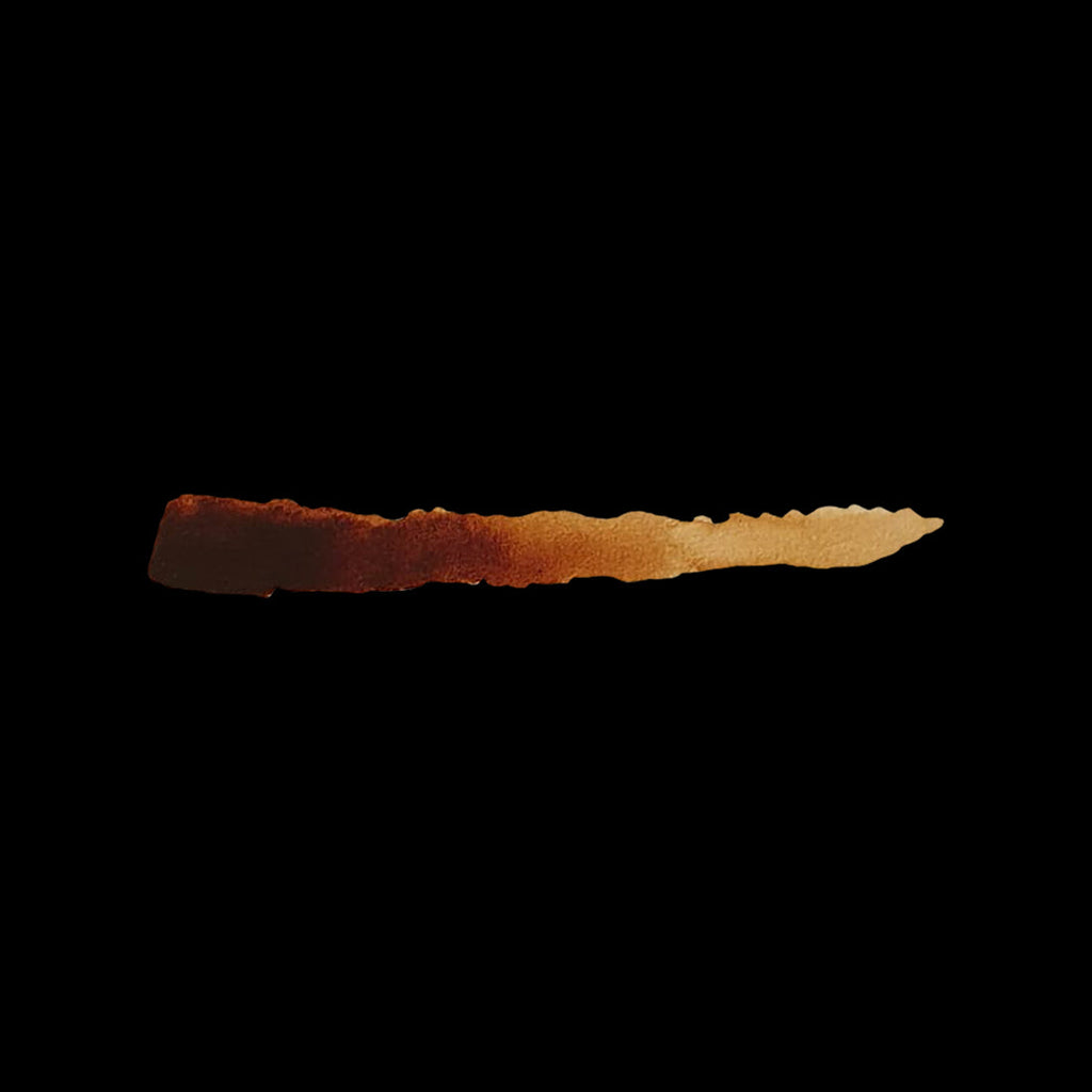 Scale 75 Scalecolor Inktense Chesnut 17ml (2)