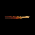 Scale 75 Scalecolor Inktense Chesnut 17ml (2)