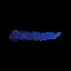 Scale 75 Scalecolor FX Electric Blue 17ml (2)