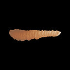 Scale 75 Fantasy Colours Blackert Brown 17ml (2)