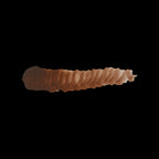 Scale 75 Fantasy Colours Bosh Chesnut 17ml (2)