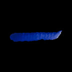 Scale 75 Fantasy Colours Arianrhod Blue 17ml (2)