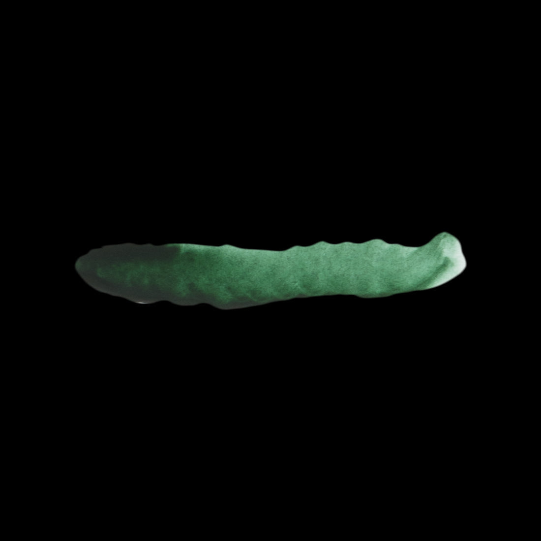 Scale 75 Fantasy Colours Riff Green 17ml (2)