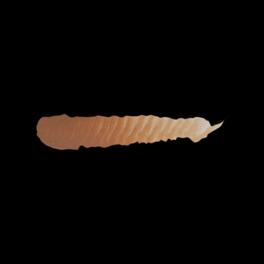 Scale 75 Fantasy Colours Resurrection Flesh 17ml (2)