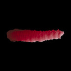 Scale 75 Fantasy Colours Hastur Purple 17ml (2)