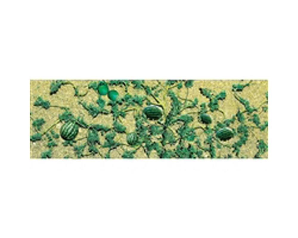 cJTT Scenery 95575 HO Watermelon Patch (6 Pack) (8324641063149)