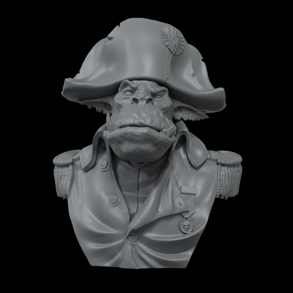 Scale 75 Busts Napoleork 1:12 (2)