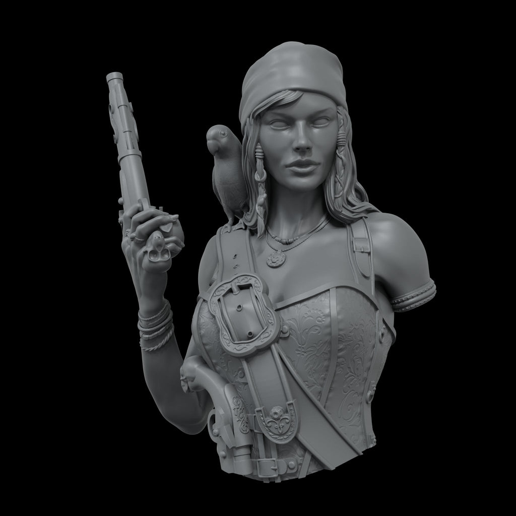 Scale 75 Busts Naughty Gears Mary Read 1:12 (2)