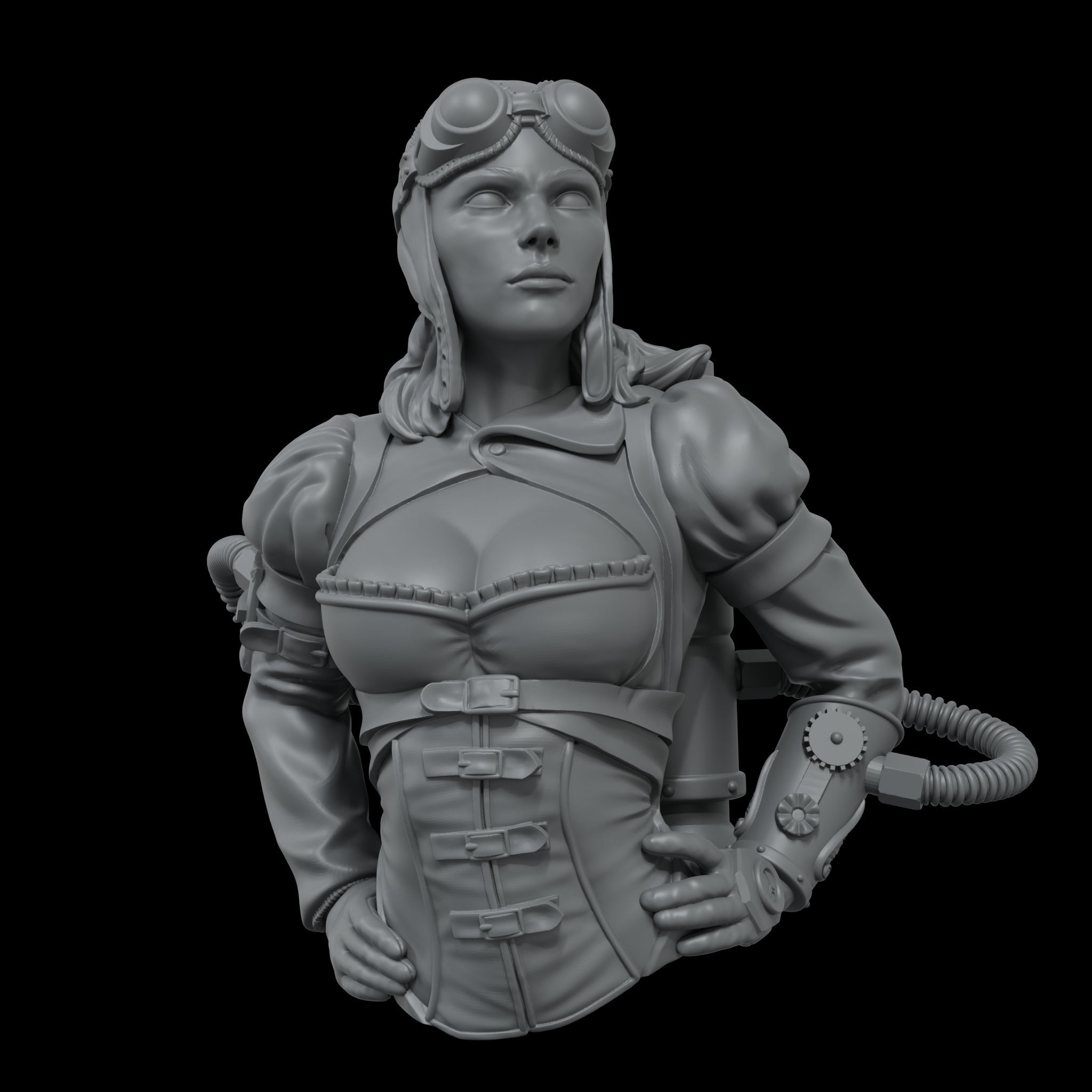 Scale 75 Busts Naughty Gears Captain Amelia Steam 1:12 (2)