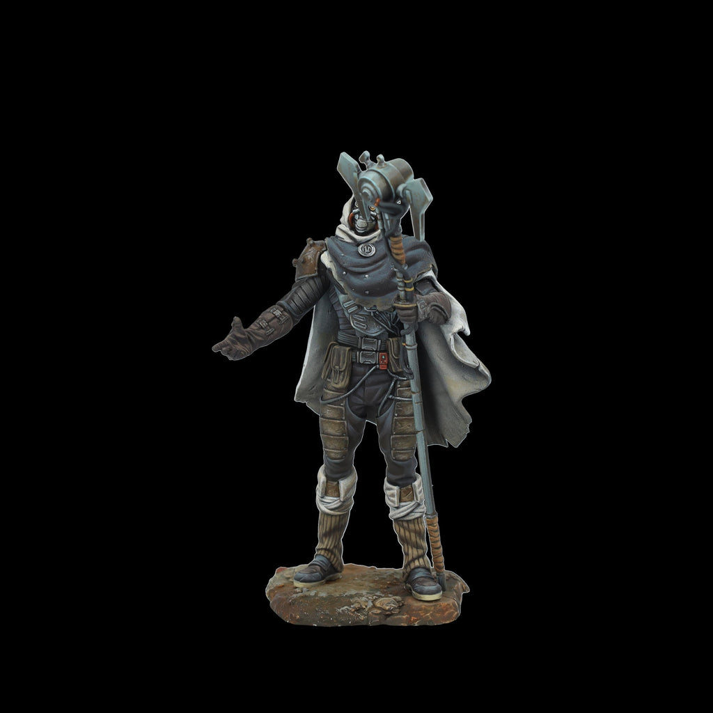 Scale 75 Figures Degensis Chronicler 75mm (4)