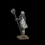 Scale 75 Figures Degensis Chronicler 75mm (11)