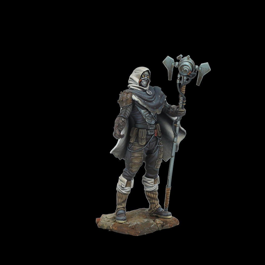 Scale 75 Figures Degensis Chronicler 75mm (36)