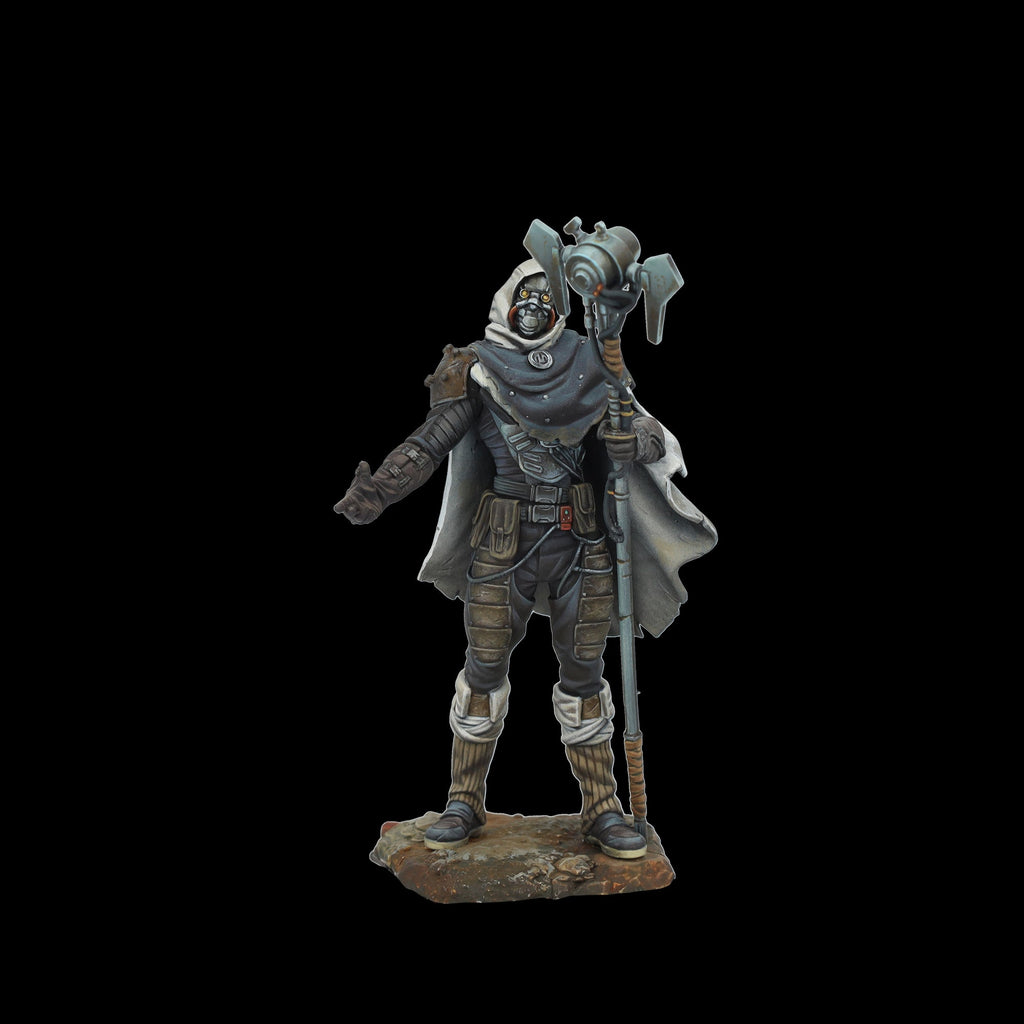 Scale 75 Figures Degensis Chronicler 75mm (39)