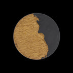 Scale 75 SAP-012 Soilworks Scenery Jungle Soil 100ml (9210263273709)