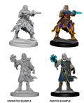 WizKids 73411 Pathfinder Battles Deep Cuts: Male Human Wizard (9003793842413)