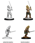 WizKids 73413 Pathfinder Battles Deep Cuts: Male Human Barbarian (9003794071789)