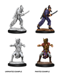 WizKids 73670 D&D Nolzurs Marvelous Miniatures Male Human Monk (9003799249133)