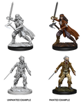 WizKids 73676 D&D Nolzurâ€™s Marvelous Miniatures: Vampire Hunters (9003800428781)