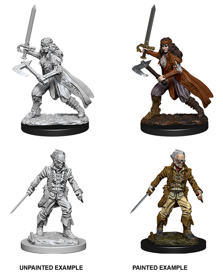 WizKids 73676 D&D Nolzurâ€™s Marvelous Miniatures: Vampire Hunters (9003800428781)