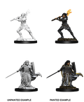WizKids 73830 D&D Nolzurâ€™s Marvelous Miniatures: Female Human Paladin (9003804688621)