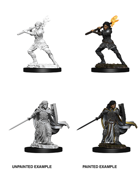 WizKids 73830 D&D Nolzurâ€™s Marvelous Miniatures: Female Human Paladin (9003804688621)