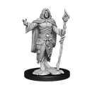 WizKids D&D Nolzur's Marvelous Miniatures: Human Druid Male - WZK90221