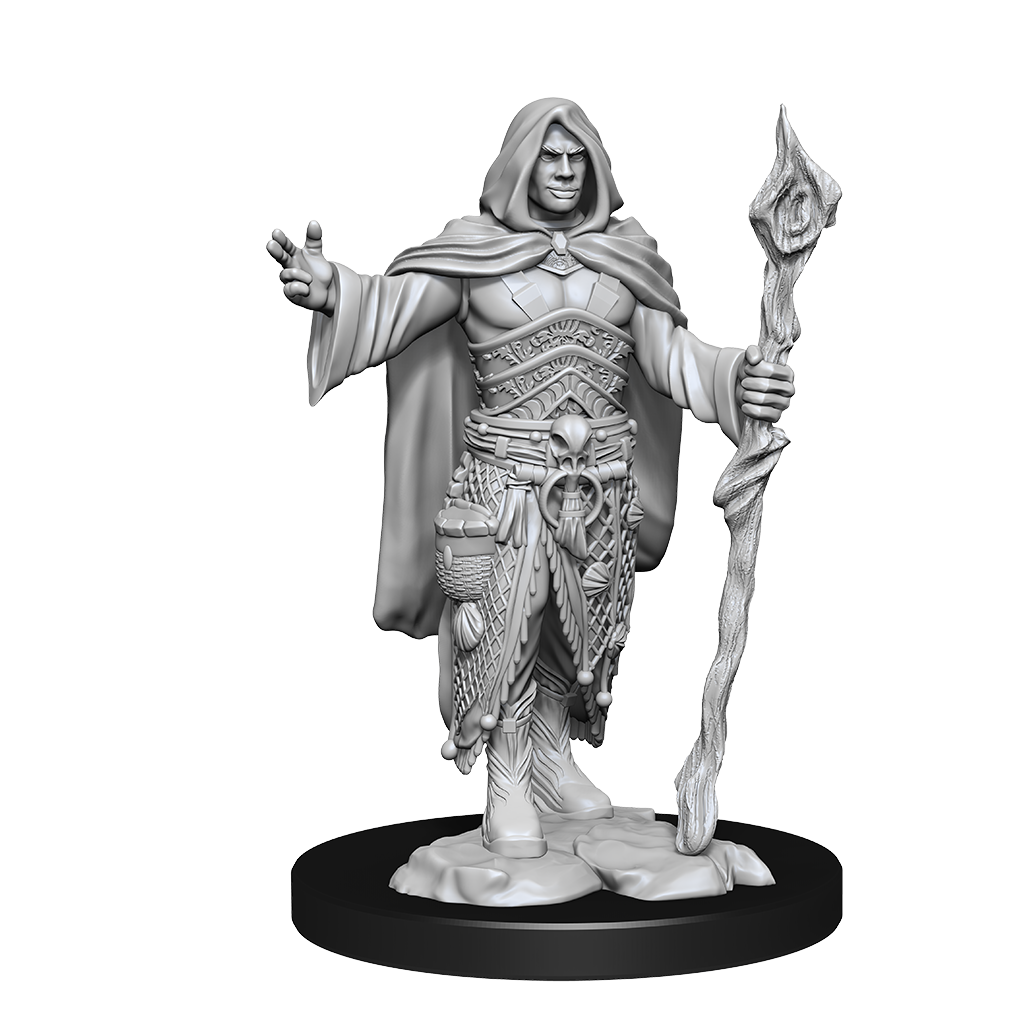 WizKids D&D Nolzur's Marvelous Miniatures: Human Druid Male - WZK90221