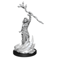 WizKids D&D Nolzur's Marvelous Miniatures: Human Druid Female - WZK90223