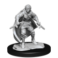 WizKids D&D Nolzur's Marvelous Miniatures: Half-Elf Rogue Female - WZK90228