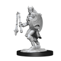 WizKids D&D Nolzur's Marvelous Miniatures: Kalashtar Cleric Female - WZK90233