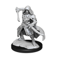 WizKids D&D Nolzur's: Warforged Rogue - WZK90236