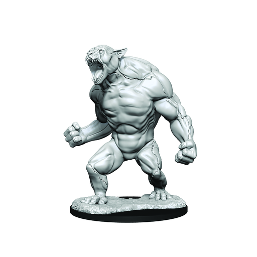 WizKids 90371 Critical Role Unpainted Miniatures: Aeorian Reverser (9003826512109)