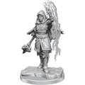 WizKids D&D Nolzur's Marvelous Miniatures: Half-Elf Warlock - WZK90410