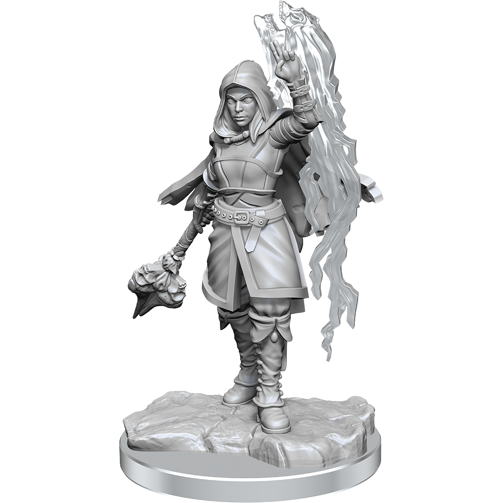 WizKids D&D Nolzur's Marvelous Miniatures: Half-Elf Warlock - WZK90410