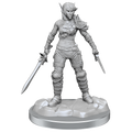 WizKids D&D Nolzur's Marvelous Miniatures: Elf Ro and Half Elf Protege - WZK90582