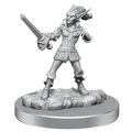 WizKids D&D Nolzur's Marvelous Miniatures: Quicklings - WZK90587