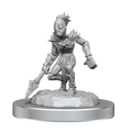 WizKids D&D Nolzur's Marvelous Miniatures: Vegepygmie - WZK90590