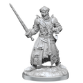 WizKids D&D Nolzur's Marvelous Miniatures: Dead Warlord - WZK90591