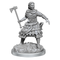WizKids D&D Nolzur's Marvelous Miniatures: Human Fighters - WZK90639