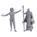 Wizkids WZK96372 D&D Nolzurs Marvelous Miniatures Special Edition Baldurs Gate 3 Volo & Withers