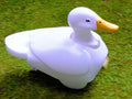 Tamiya 70257 WALKING & SWIMMING DUCK (8346767261933)