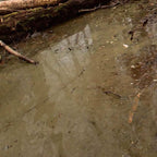 AK Interactive AK8006 Dioramas Water Gel Swamp Green Effects 250ml