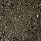 AK Interactive AK8016 Dioramas Terrains Wet Ground 250ml Acrylic