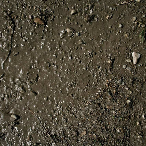 AK Interactive AK8016 Dioramas Terrains Wet Ground 250ml Acrylic