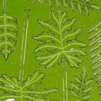 AK Interactive AK8138 Dioramas Jungle Plants Set