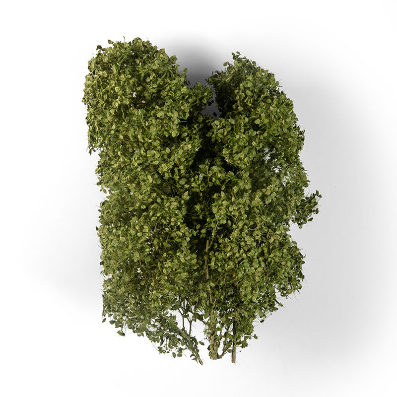 AK Interactive AK8237 Summer Filigree Bushes
