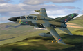 Corgi AA29401 1/48 Panavia Tornado GR.1 (8950416113901)