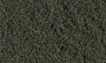 Woodland Scenics T1366 Coarse Turf Shaker Conifer/50 cu. in. (6660651286577)