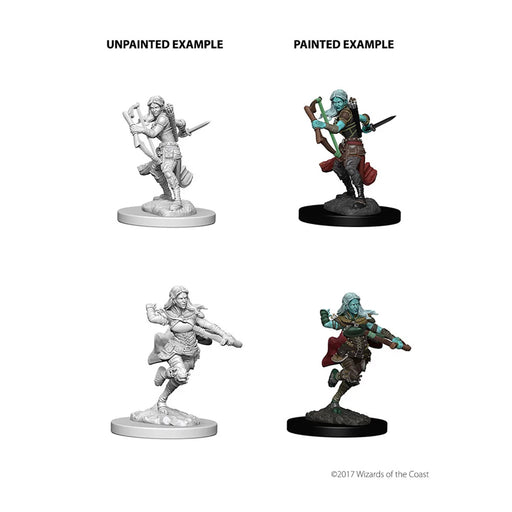 WizKids 73204 D&D Nolzurs Marvelous Miniatures Marvelous Unpainted: Air Gen (9003787813101)